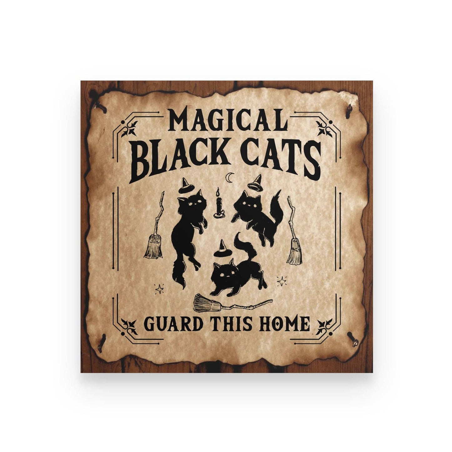 Magical Black Cats Poster