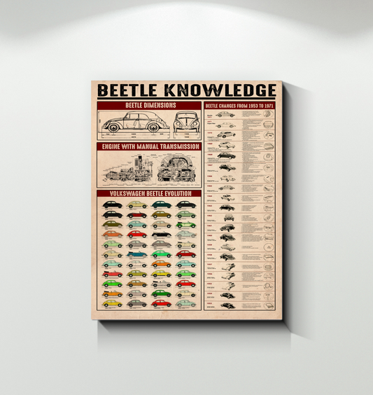 Beetle Knowledge