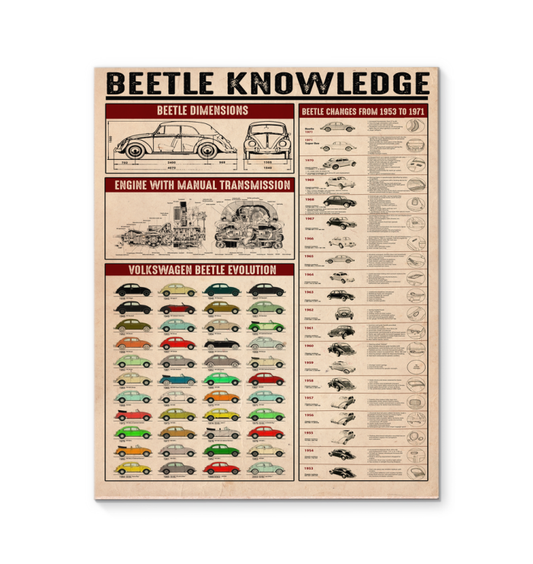 Beetle Knowledge