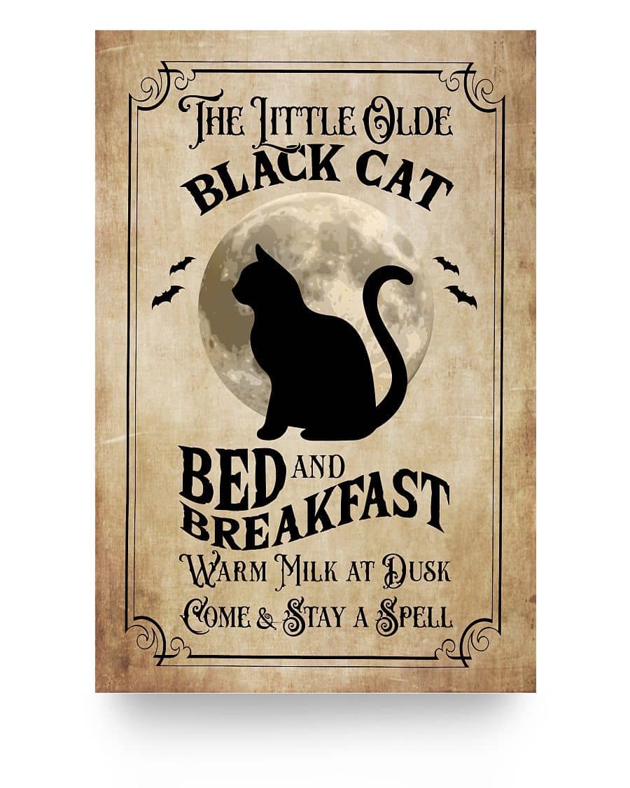 The Little Olde Black Cat