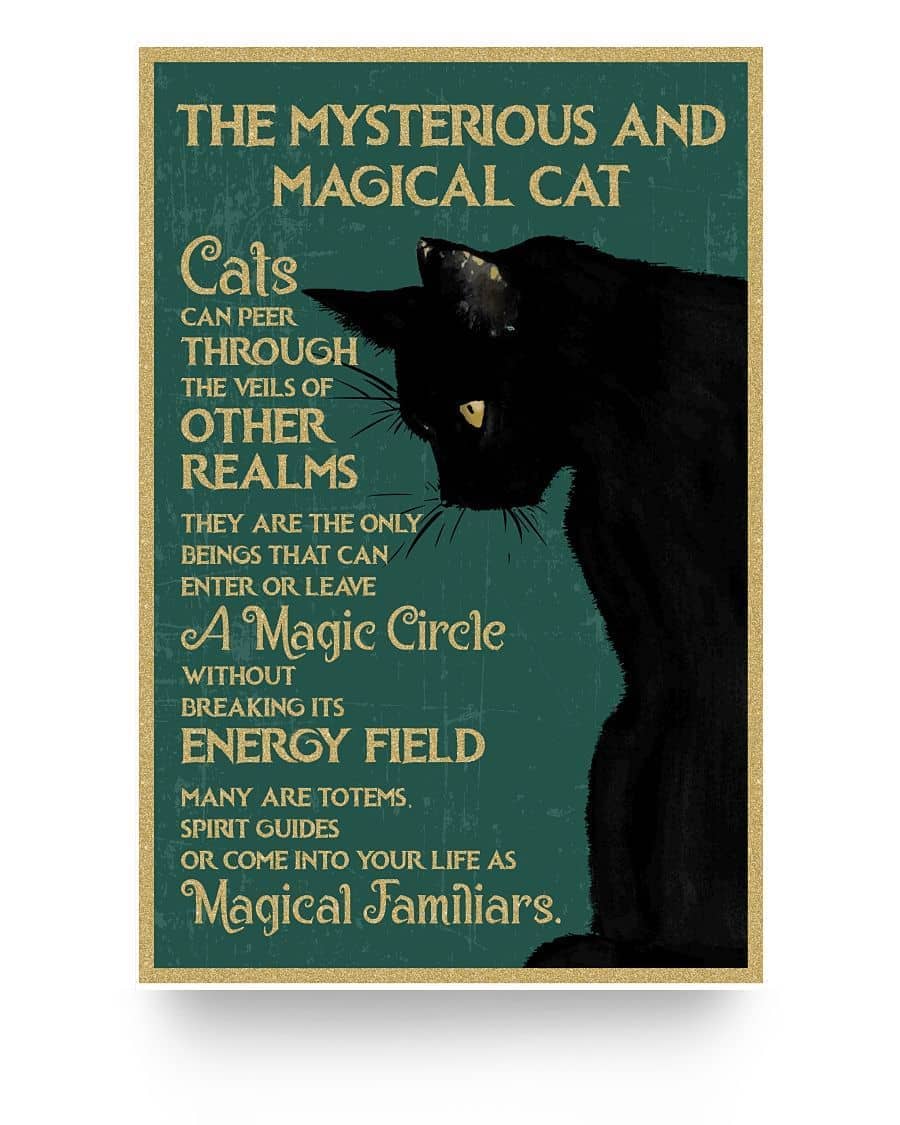 The Mysterious And Magical Cat