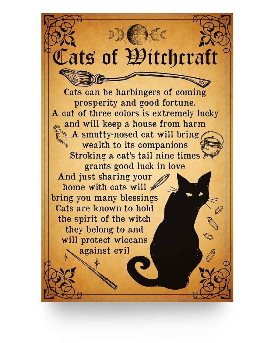 Cats Of WItchcraft