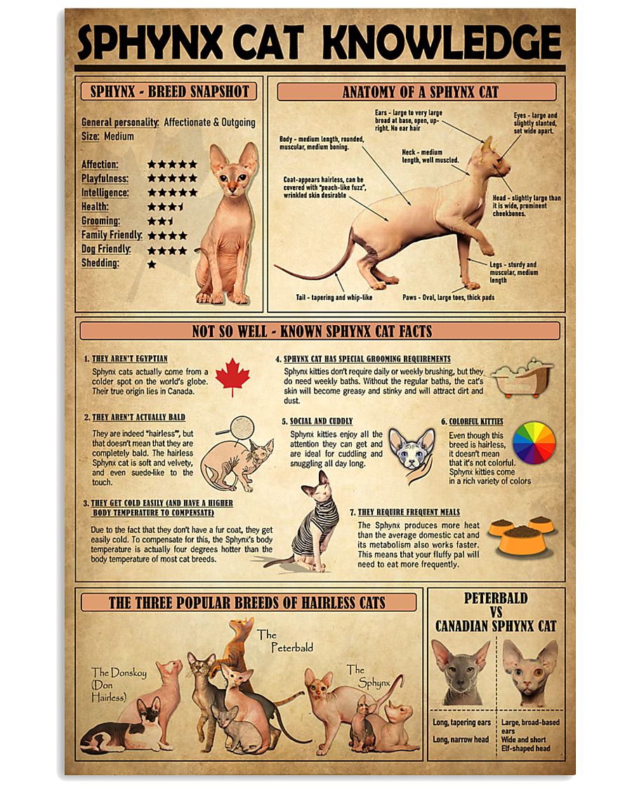 Sphynx Cat Knowledge