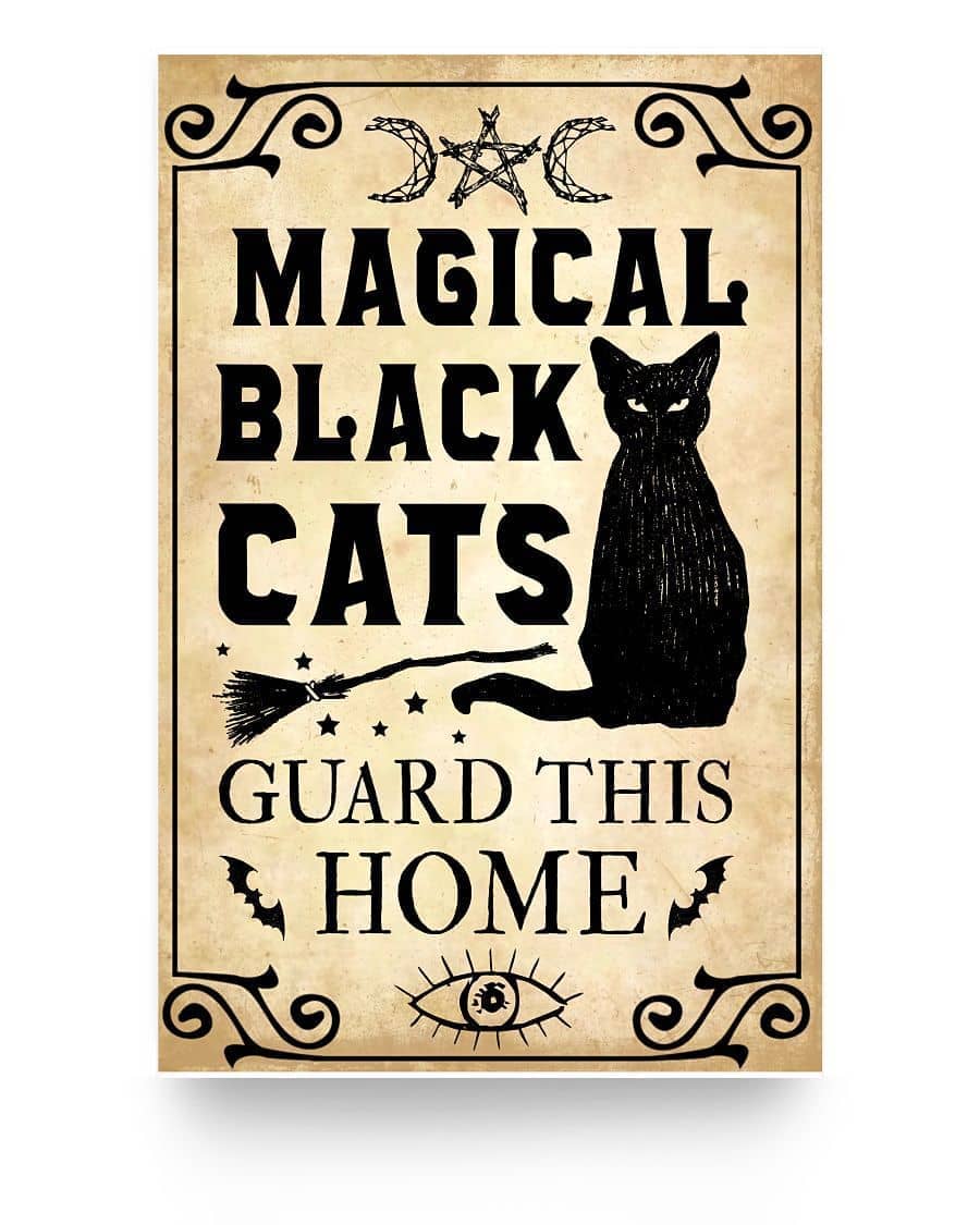 Magical Black Cats