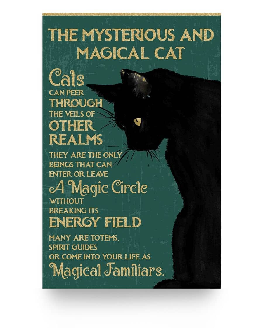 The Mysterious And Magical Cat