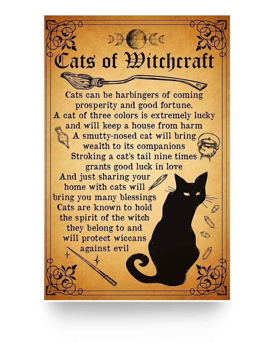 Cats Of WItchcraft