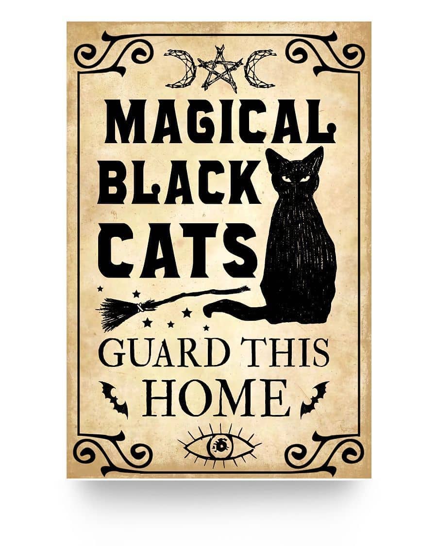 Magical Black Cats