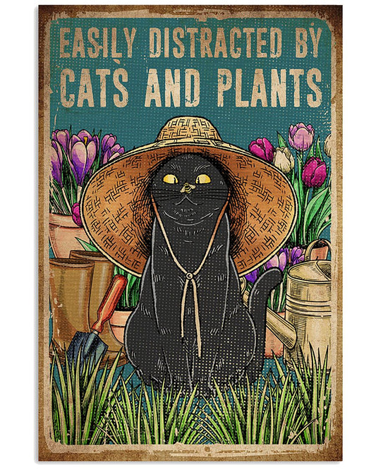 Cats And Plants