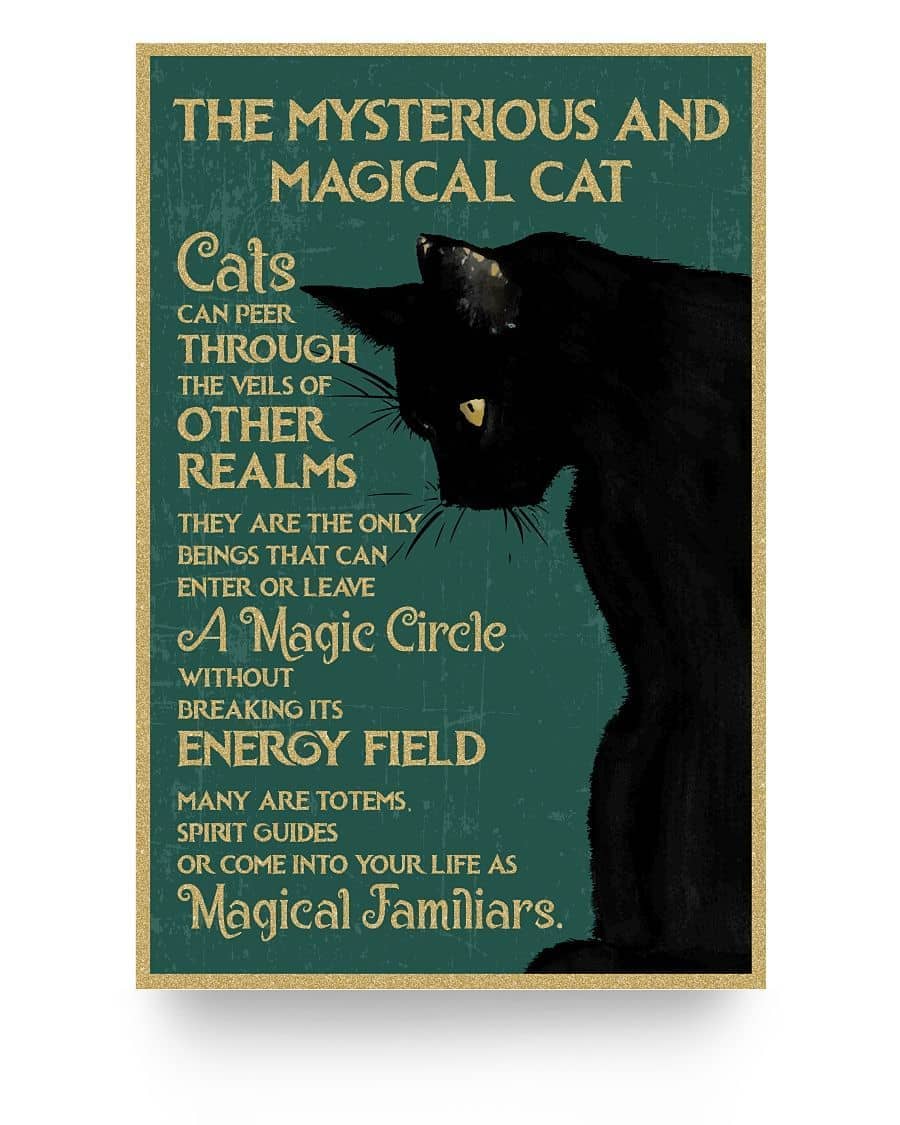 The Mysterious And Magical Cat