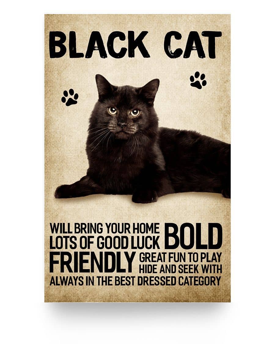 Black Cat Will Bring Your Home Bold