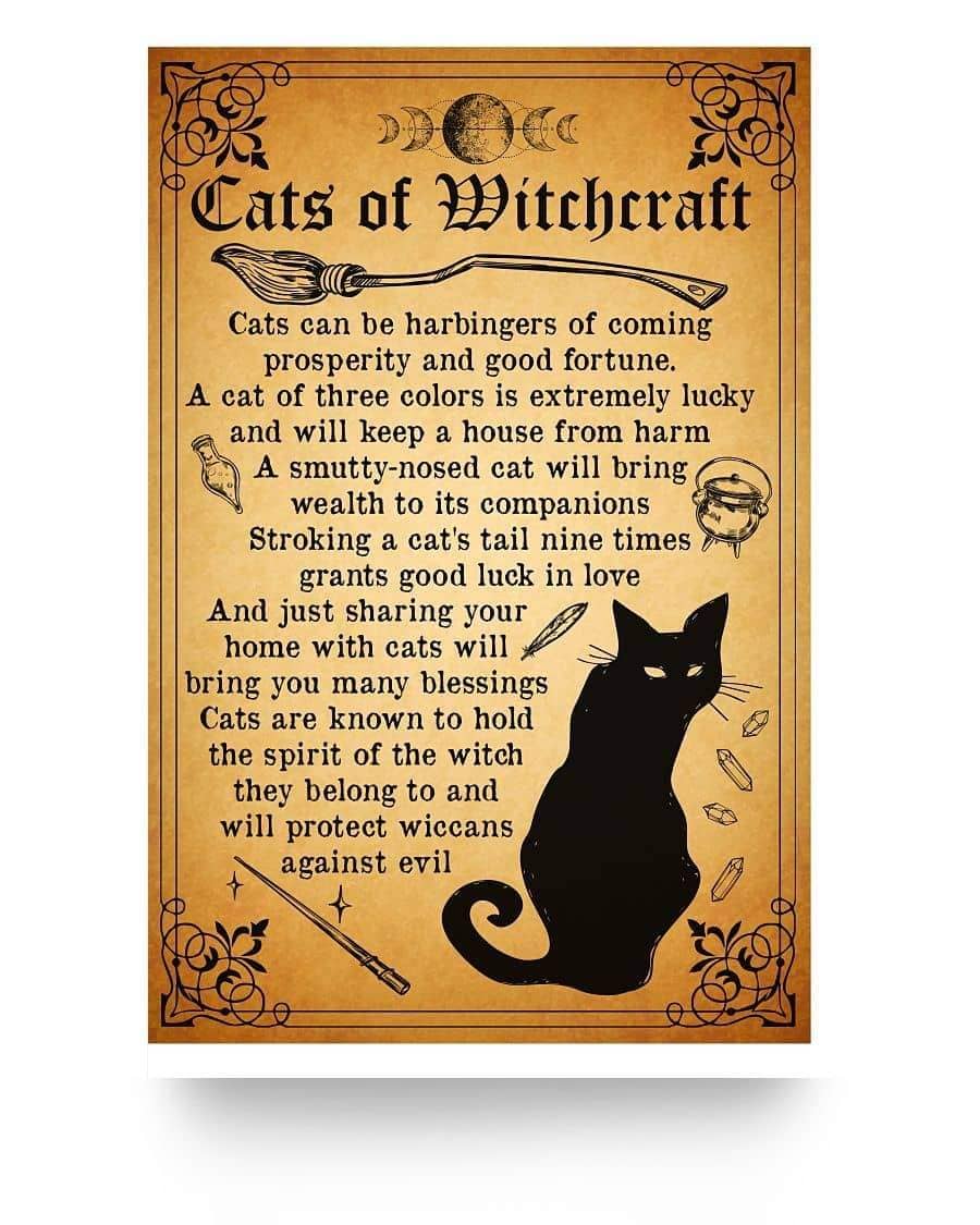 Cats Of WItchcraft