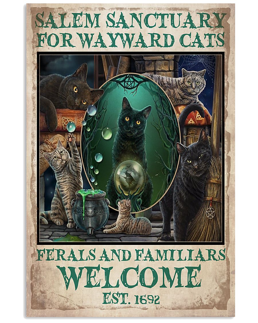 Wayward Cats 