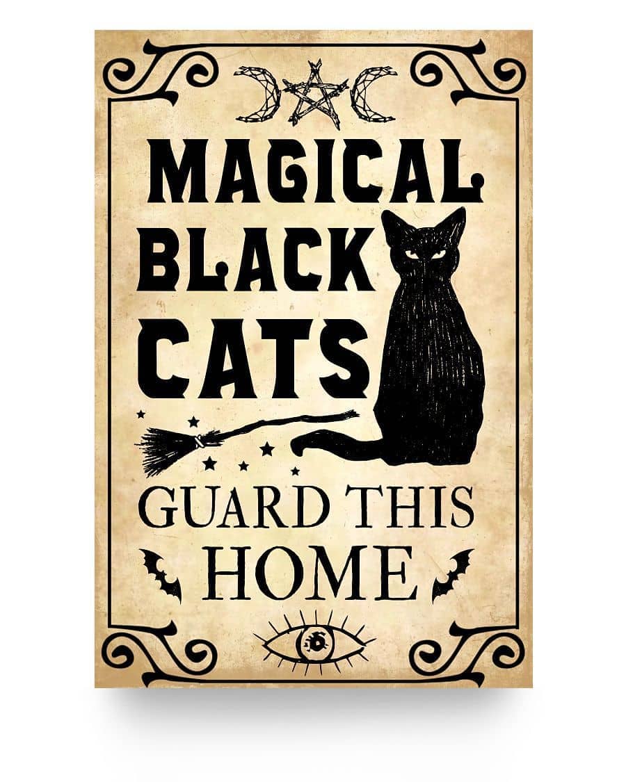 Magical Black Cats