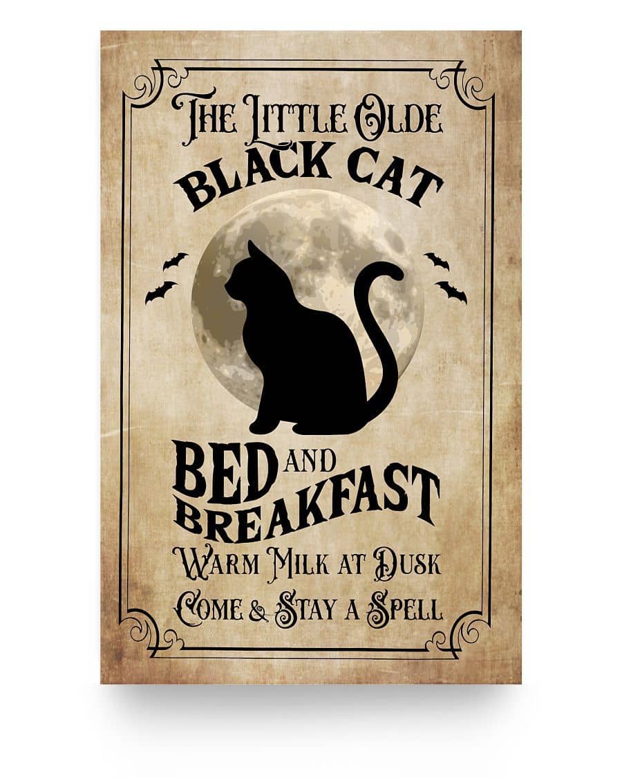 The Little Olde Black Cat